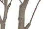 DKD Home Decor Árbol de Magnolio Blanco y Rosa en PE y Cemento