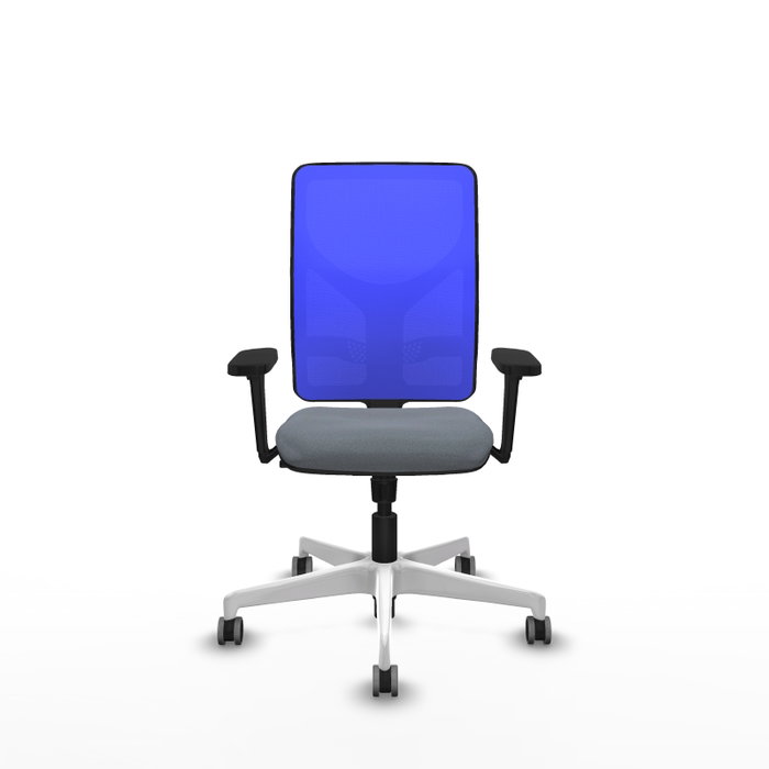 PIQUERAS Y CRESPO Silla de oficina Motilla con mecanismo Sincro, Gris y Azul PIQUERAS Y CRESPO Silla de oficina Motilla con mecanismo Sincro, Gris y Azul