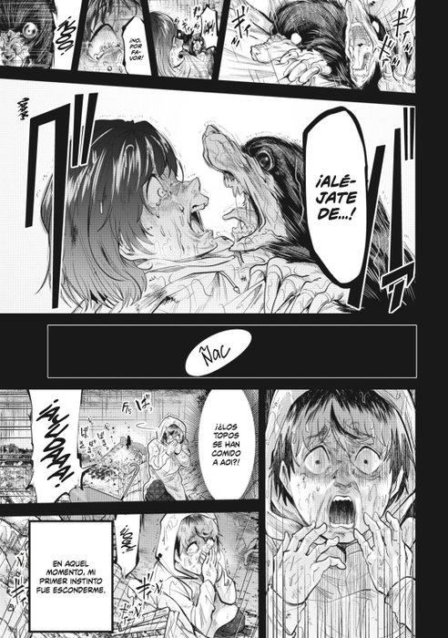 Moguland 04