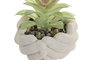 DKD Home Decor Maceta Manos Cactus Gris y Verde