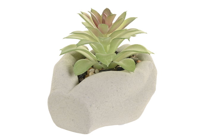 DKD Home Decor Maceta Manos Cactus Gris y Verde