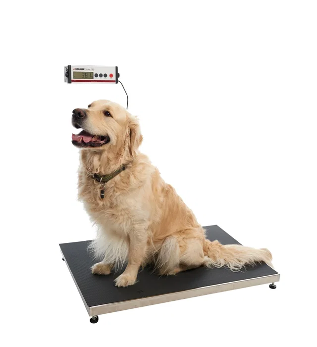 Kruuse Báscula Digital para Animales con Plataforma de Acero Inoxidable 98x60 cm Kruuse Báscula Digital para Animales con Plataforma de Acero Inoxidable 98x60 cm
