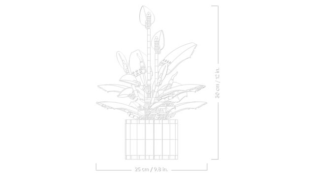 LEGO Botanical Collection Lirio de la Paz 11504 - Set de Construcción de Planta Artificial para Decoración para Adultos LEGO Botanical Collection Lirio de la Paz 11504 - Set de Construcción de Planta Artificial para Decoración para Adultos