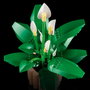 LEGO Botanicals Lirio de la Paz 11504