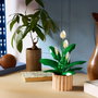 LEGO Botanicals Lirio de la Paz 11504