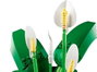 LEGO Botanicals Lirio de la Paz 11504