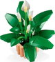 LEGO Botanicals Lirio de la Paz 11504