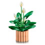 LEGO Botanicals Lirio de la Paz 11504