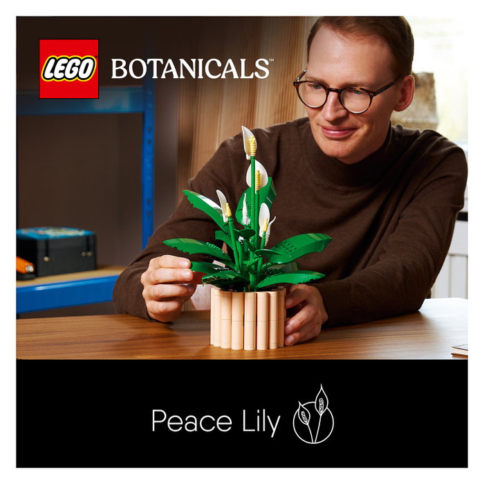LEGO Botanicals Lirio de la Paz 11504