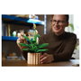 LEGO Botanicals Lirio de la Paz 11504