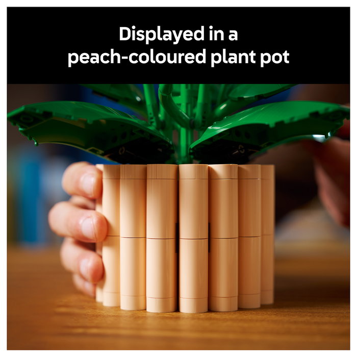 LEGO Botanicals Lirio de la Paz 11504