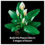 LEGO Botanicals Lirio de la Paz 11504