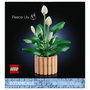 LEGO Botanicals Lirio de la Paz 11504