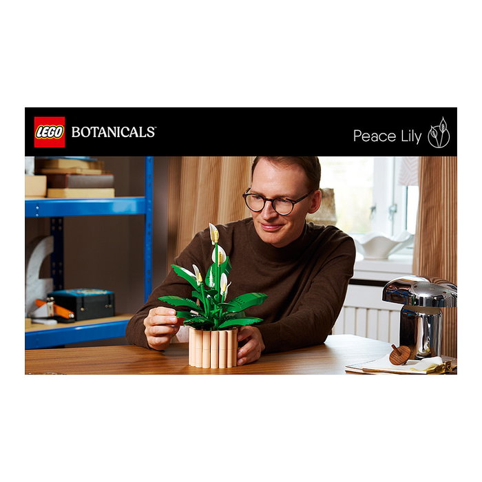 LEGO Botanicals Lirio de la Paz 11504
