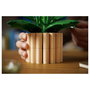LEGO Botanicals Lirio de la Paz 11504