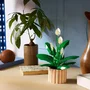 LEGO Botanicals Lirio de la Paz 11504