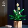 LEGO Botanicals Lirio de la Paz 11504
