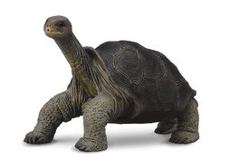 COLLECTA Tortuga Gigante de Pinta - Escala M