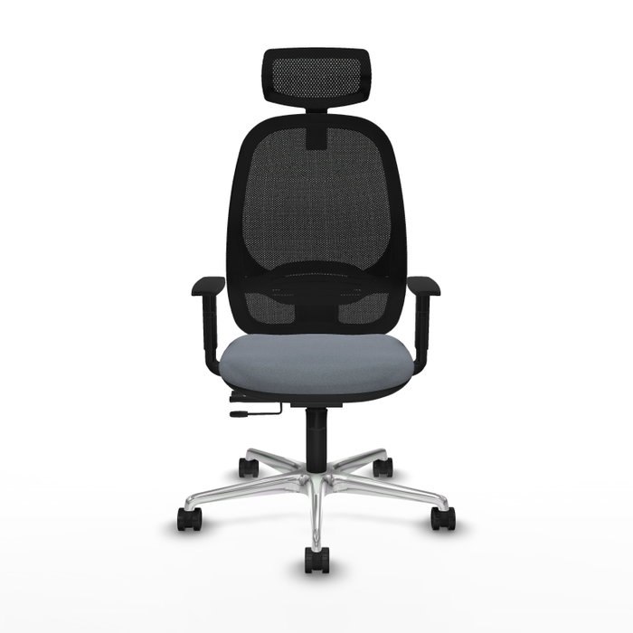 PIQUERAS Y CRESPO Silla de oficina Cilanco con mecanismo Sincro/Traslack, Gris y Negro PIQUERAS Y CRESPO Silla de oficina Cilanco con mecanismo Sincro/Traslack, Gris y Negro