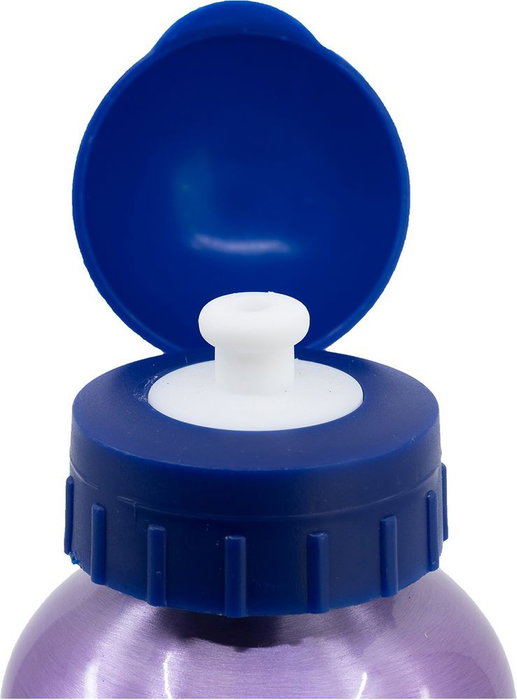 Licensing Botella de Aluminio Frozen 530ml