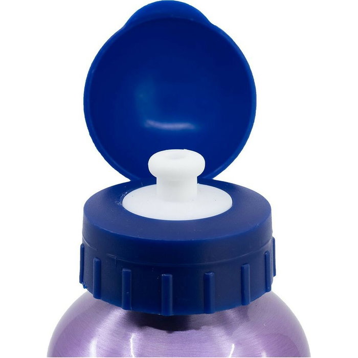 Licensing Botella de Aluminio Frozen 530ml Licensing Botella de Aluminio Frozen 530ml