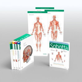 ELSEVIER UK Sobotta Atlas of Anatomy (English-Latin)