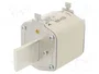 ETI POLAM Fusible de cartucho NH3 500A 500VAC