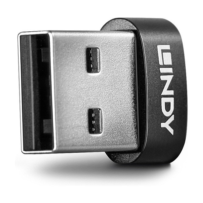 Lindy Adaptador USB 2.0 de USB-C a USB-A Negro 41884