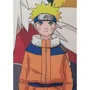 Naruto Cojín Doble Cara Cuadrado Naruto y sus Amigos NAR3700891700962 Microfibra 40 x 40 cm