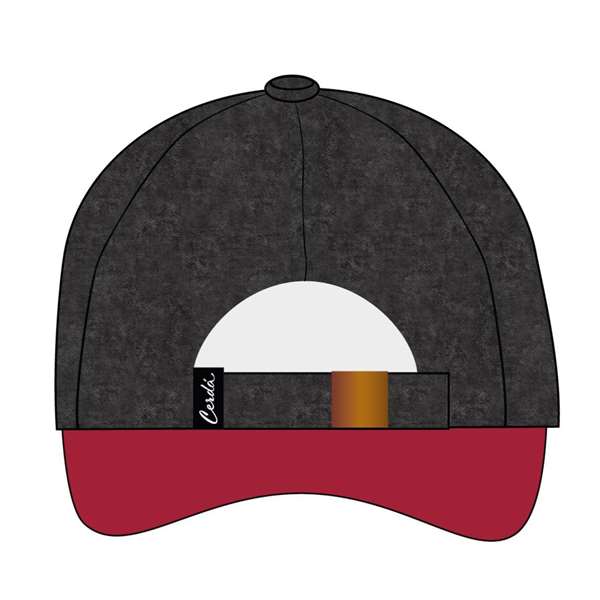 Cerdá Gorra Visera Curva Adulto Harry Potter Gryffindor 58 cm Negra