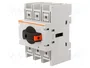LOVATO ELECTRIC Interruptor de aislamiento GA 3 polos 125A