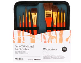 Innspiro Set de 10 pinceles de pelo natural con estuche