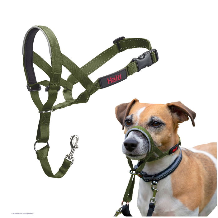 Bozal Company of Animals FOREST Verde Talla 1