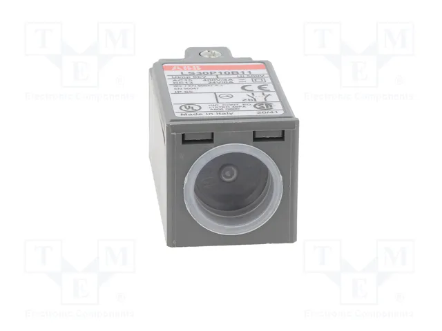 ABB LS30P10B11 Interruptor de fin de carrera con espárrago de Ø8mm, NO + NC, 10A
