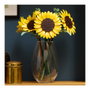 LEGO Botanicals Ramo de Girasoles 11502