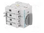 Hager HAB406 Interruptor de desconexión 4 polos 63A