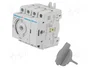 Hager HAB406 Interruptor de desconexión 4 polos 63A