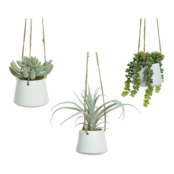 Maceta colgante de suculenta, 20 cm, modelos variados Maceta colgante de suculenta, 20 cm, modelos variados