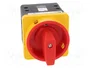 SPAMEL Interruptor de leva 63A 0-1 IP65