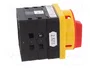 SPAMEL Interruptor de leva 63A 0-1 IP65
