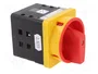 SPAMEL Interruptor de leva 63A 0-1 IP65