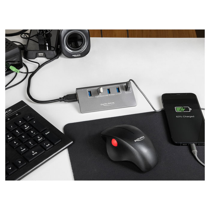 DeLOCK Hub USB 10 Gbps con 4 Puertos USB Tipo-A 3.2 Gen 2, 1 Puerto de Carga Rápida y Fuente de Alimentación Incluida - USB 3.1 Gen 2, Plug & Play, Gris Metal