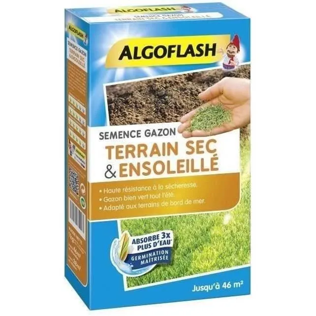 Algoflash Semillas de Hierba para Suelos Secos y Soleados - Calidad Profesional - 1 Kg Algoflash Semillas de Hierba para Suelos Secos y Soleados - Calidad Profesional - 1 Kg