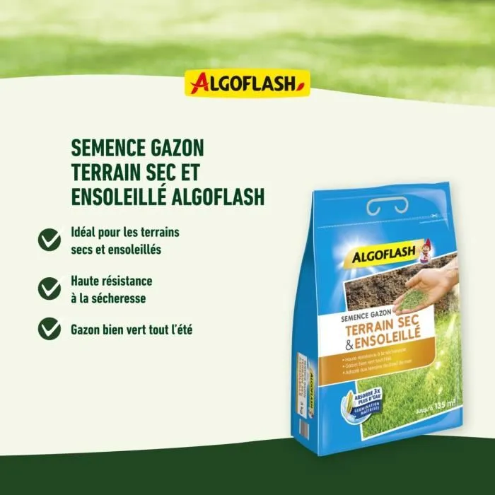 Algoflash Semillas de Hierba para Suelos Secos y Soleados - Calidad Profesional - 1 Kg Algoflash Semillas de Hierba para Suelos Secos y Soleados - Calidad Profesional - 1 Kg