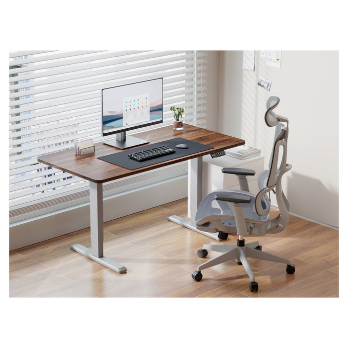 EQUIP Estructura de escritorio elevable eléctrica Dual Motor 125kg Gris