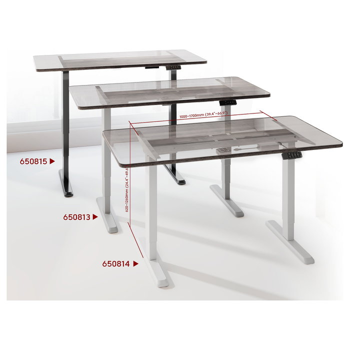 EQUIP Estructura de escritorio elevable eléctrica Dual Motor 125kg Gris