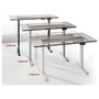 EQUIP Estructura de escritorio elevable eléctrica Dual Motor 125kg Gris