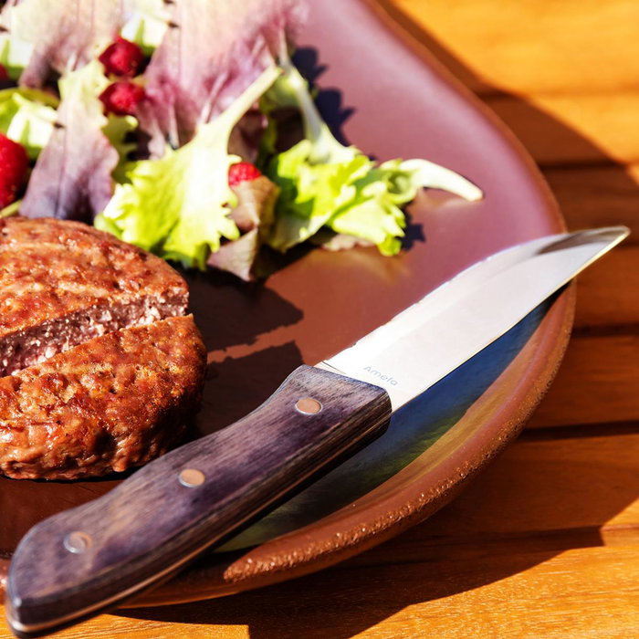 Sabatier Cuchillo Chef Origin 20CM Acero