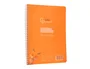 Liderpapel Cuaderno espiral Pautaguía A5, Tapa Plástico, 80 Hojas 90gr, Cuadro Pautado 3mm, Color Naranja