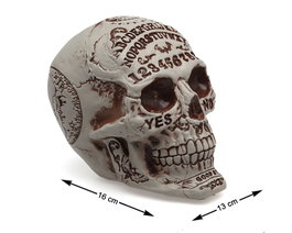 Calavera decorativa con grabados y efecto envejecido 13x16x18cm
